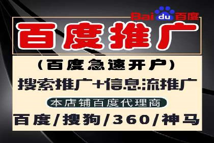 成功案例：如何通过百度推广优化提高转化率
